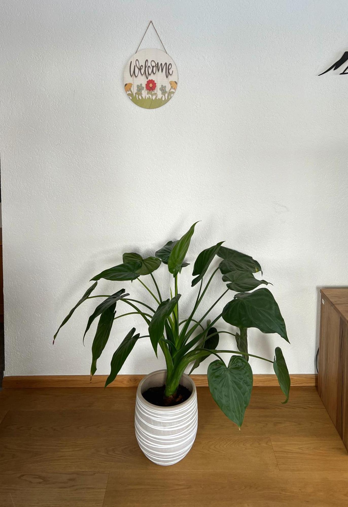 Haus Vira Apartment เซอร์แมท ภายนอก รูปภาพ